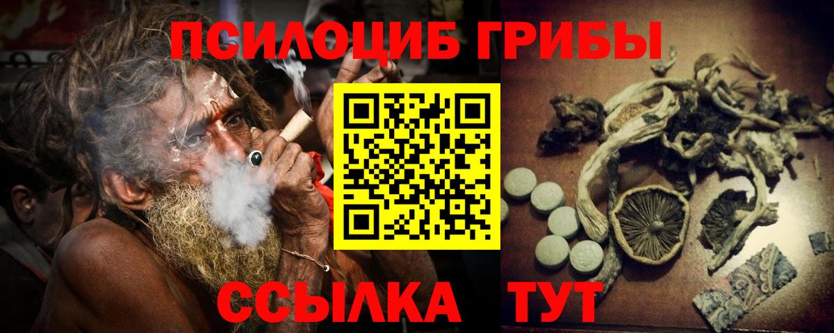 Псилоцибиновые грибы ЛСД  Галлюциногенные грибы Psilocybine cubensis  Альметьевск  Вход с VPN 